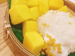 -GOGO Plate(成都太古里店)