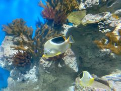 -福州罗源湾海洋世界旅游区