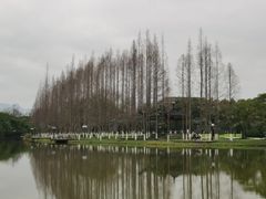 -江心屿景区