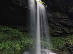 -龙苍沟森林公园