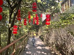 -白云山风景名胜区