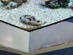 -海合安武汉极地海洋公园