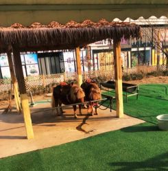 -萌宠亲子动物乐园(槐房万达店)