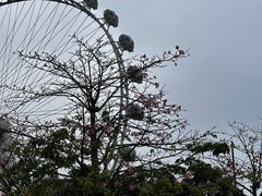 -笨罗卜浏阳菜馆(龙华鹏润达店)