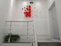 -莱可美科技美肤