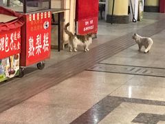 -南市食品街