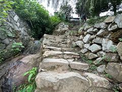 -杨家堂村