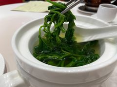 上汤浸桑叶-凤凰楼酒家·粤宴点心(华强北店)