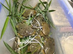 -爷爷的草帽·海鲜馆(孙塘路店)