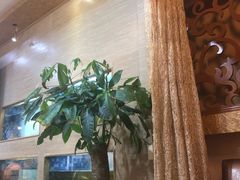 -金穗园·砂锅粥.醉鸡煲火锅(长寿路店)