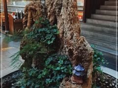 -都江堰石锅鱼