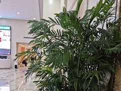 -美年大健康·体检中心(大庆西路店)