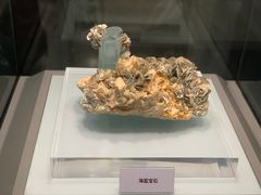 -青岛市博物馆