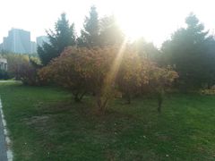 -长春公园(普阳街道)