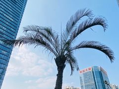 -庄子梦然·城市微度假·24h按摩·推拿·spa
