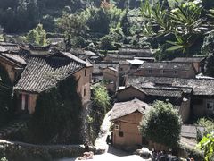 -杨家堂村
