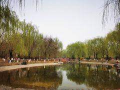 -丰台科技园生态主题公园