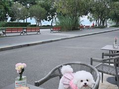 -ommo cafe(半岛城邦店)