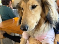 -小意思咖啡店(草桥店)