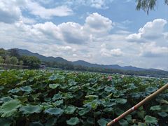 -西湖游船