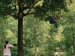 -云溪植物园