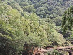 -白云源风景区