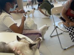 -怪兽屋·羊驼·猫咖·狗咖(俊华广场店)