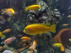 -太平洋海底世界