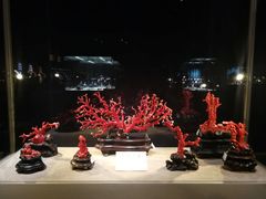 -绮丽珊瑚博物馆(台东店)
