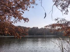 -紫霞湖公园