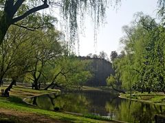-共青国家森林公园-停车场