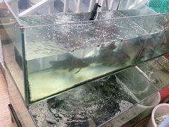-郭氏沙坝鱼庄＆白族特色菜