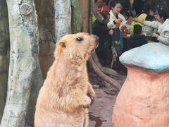 -长鹿旅游休博园