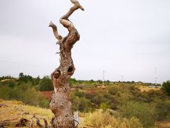 -亿利库布其七星湖沙漠生态旅游区