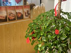 -Cafe on warm(丹霞店)