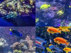 -海合安天津极地海洋公园