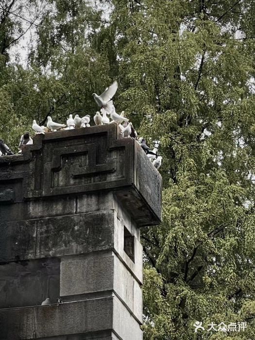 南京中国近代史遗址博物馆(南京总统府)图片