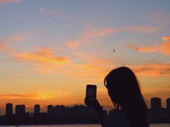 -暨阳湖生态园