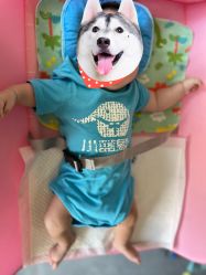 -小蓝象(五角场万达店)