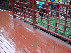-西安曲江寒窑遗址公园