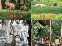 -北京野生动物园