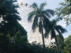 -南宁南湖公园