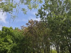 -北坞公园