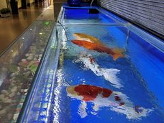 -颐信康足道spa采耳养生馆