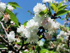 -白塘生态植物园