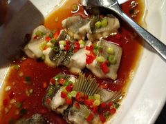 -海派悦庭·海胆烧麦·新融合菜(凯德广场店)