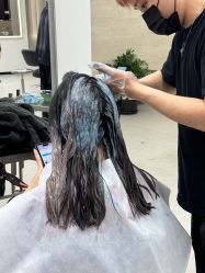 -蚂蚁造型俱乐部
