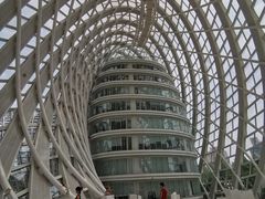 -凤凰中心