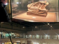 -自贡恐龙博物馆