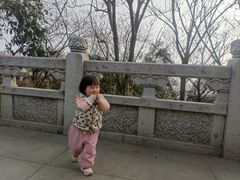 -杭州半山国家森林公园